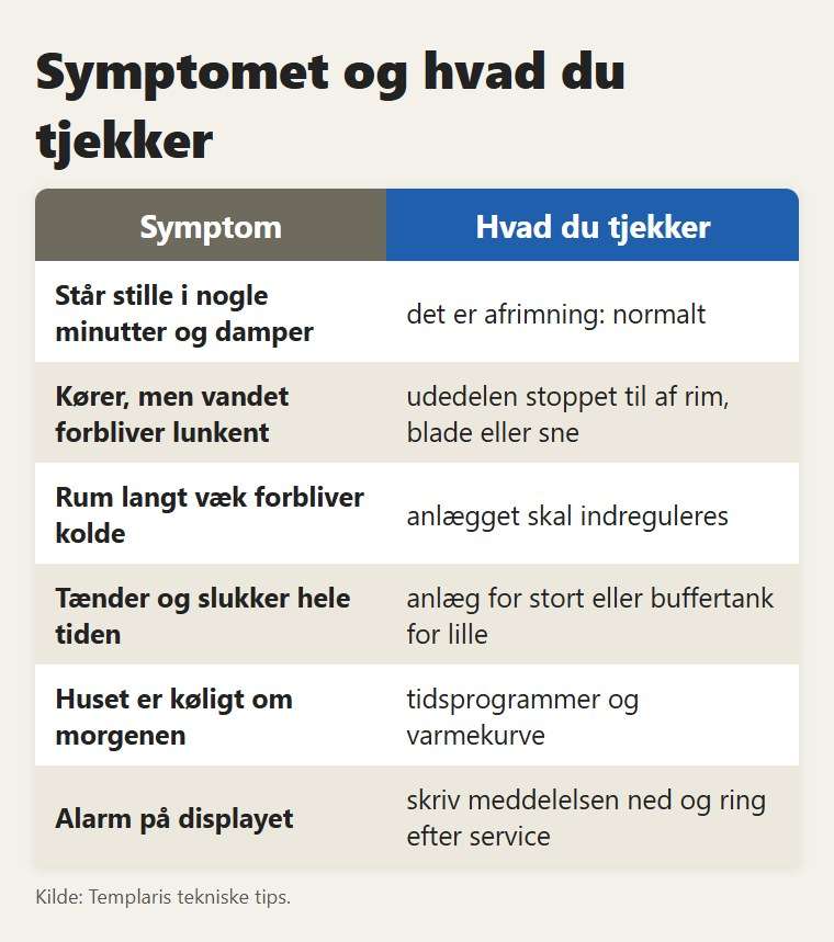 Symptomet og hvad du tjekker